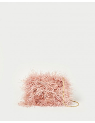 Zahara Blush Mini Feather Pouch brillant des détails fins