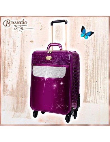 Sleek and Steady Light Weight Spinner Luggage de votre