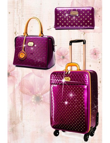 Starz Art Retro 3PC Set | Light Weight Spinner Luggage Venez acheter